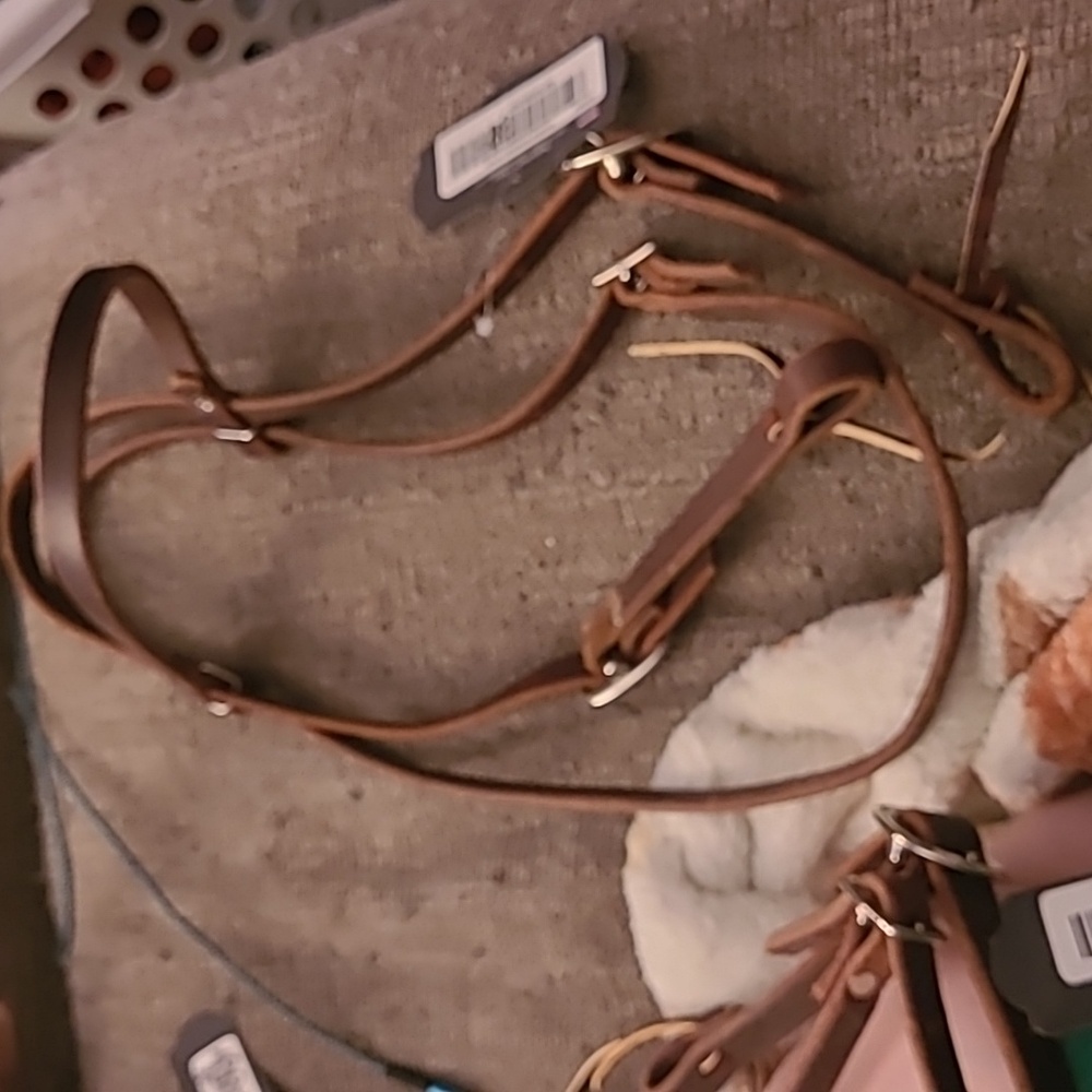 39$ bridle